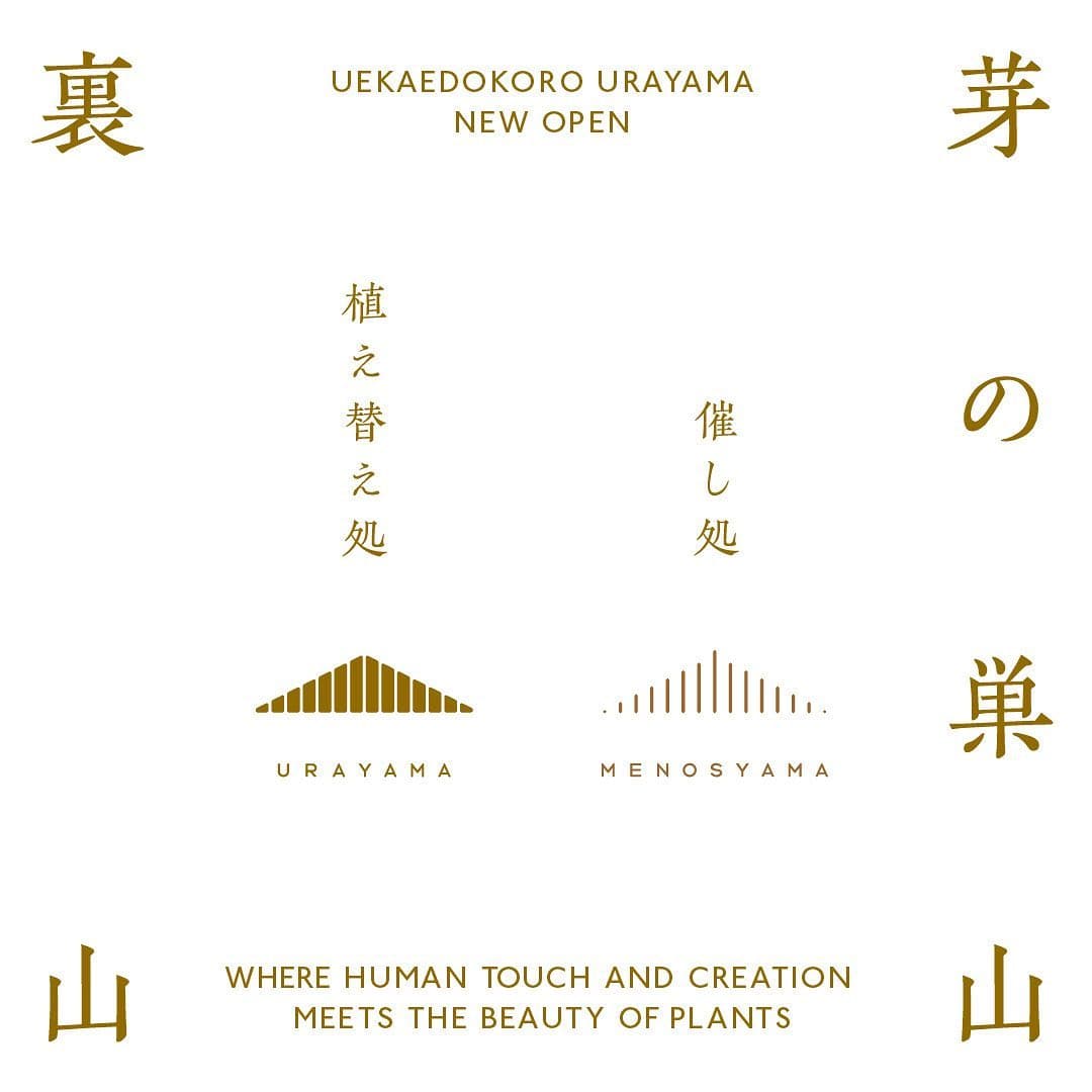 芽の巣山と裏山/人のつくるモノコトと 植物の魅せる姿が交じり合う場所
