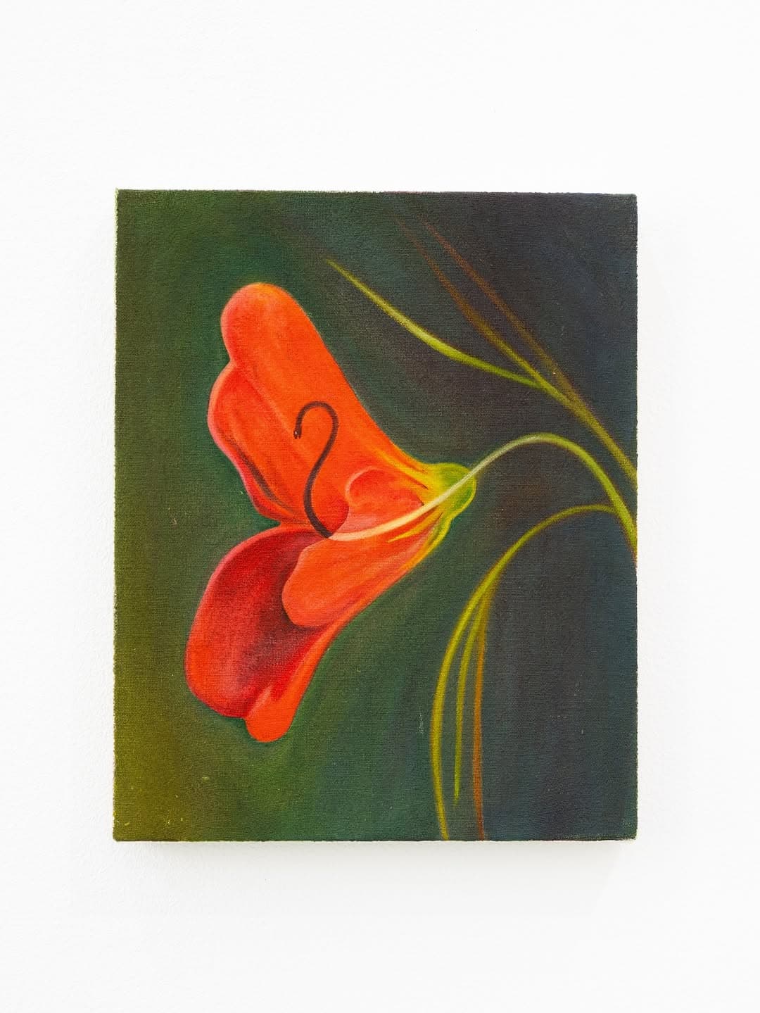 SCHOKO TANAKA個展「ASPHALT MEADOWS」