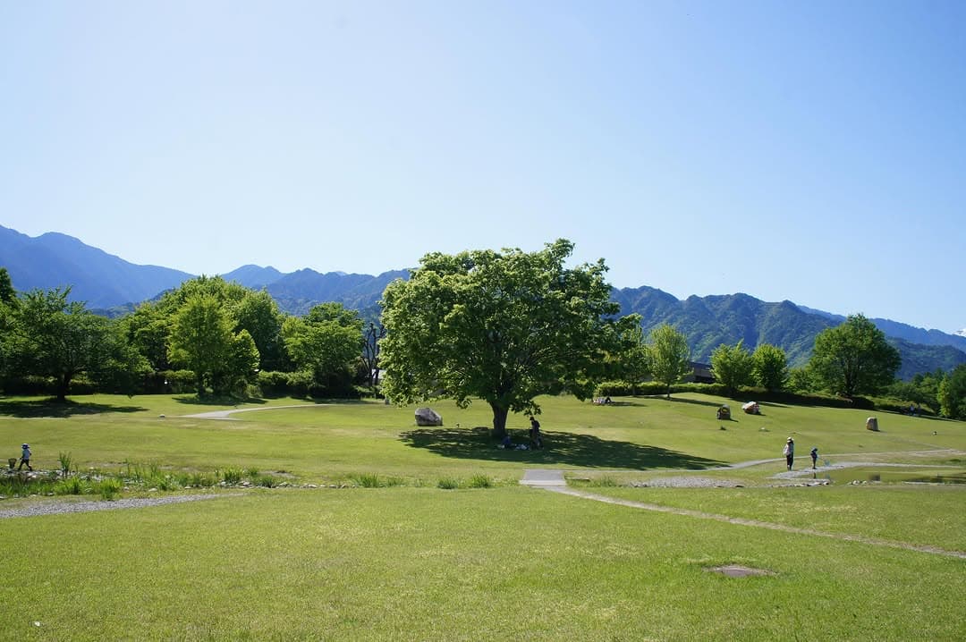 6月 常設展示