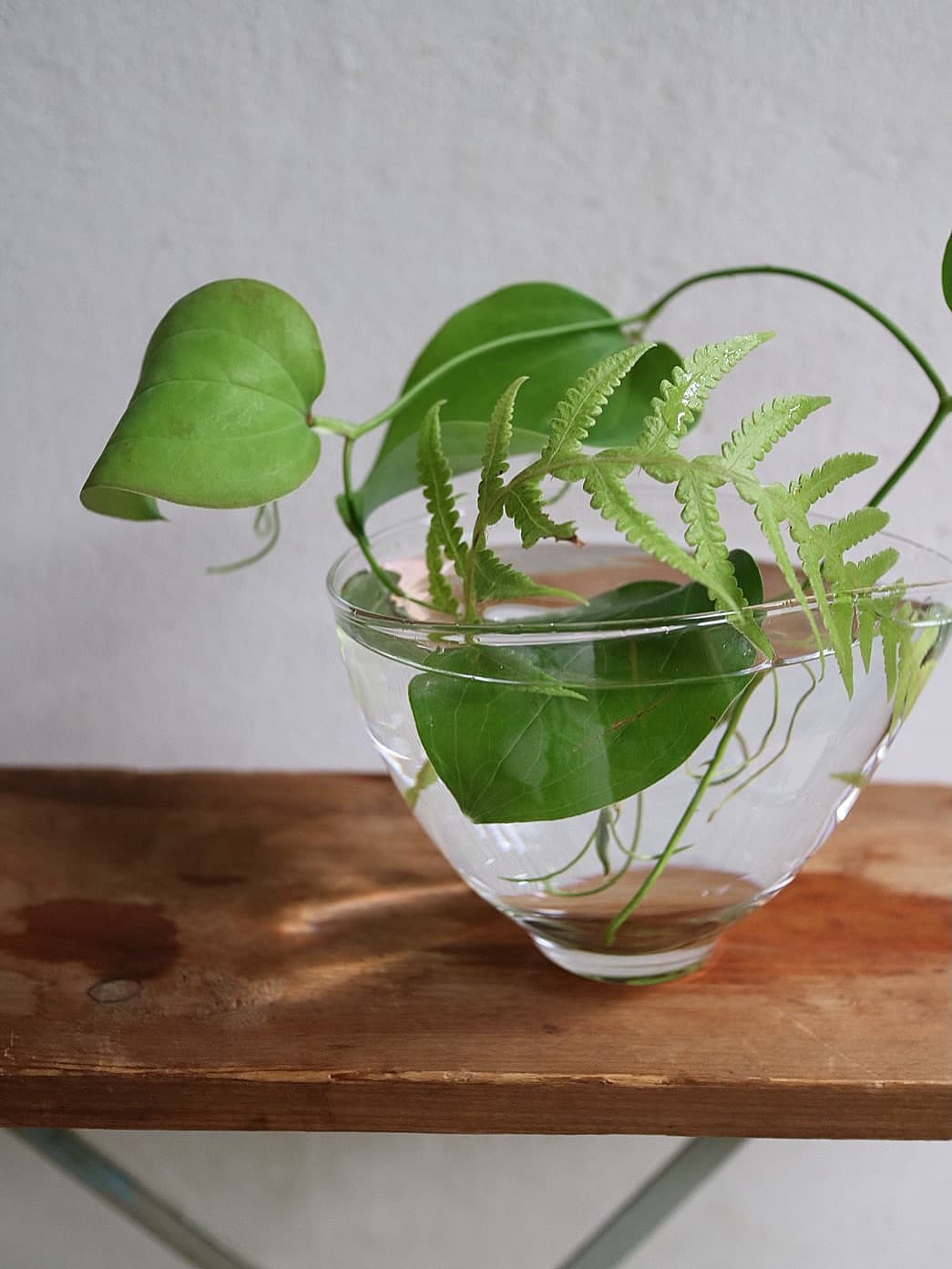 Flowers, Plants & Food Gathering: "Scooping Coolness"