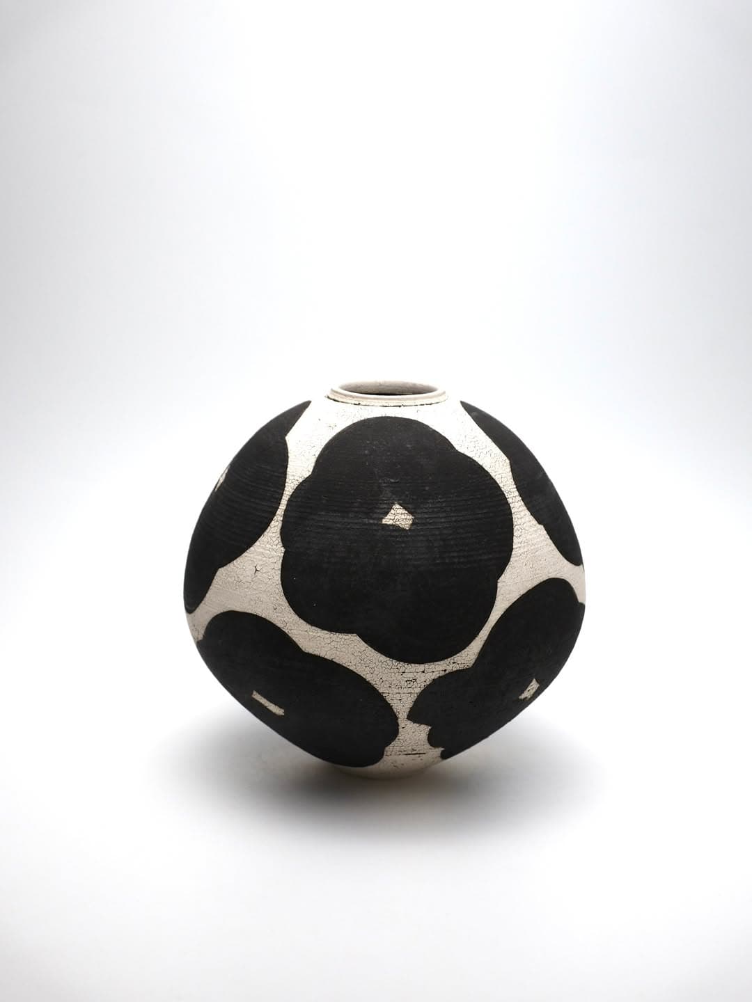 Kansai Noguchi Solo Exhibition