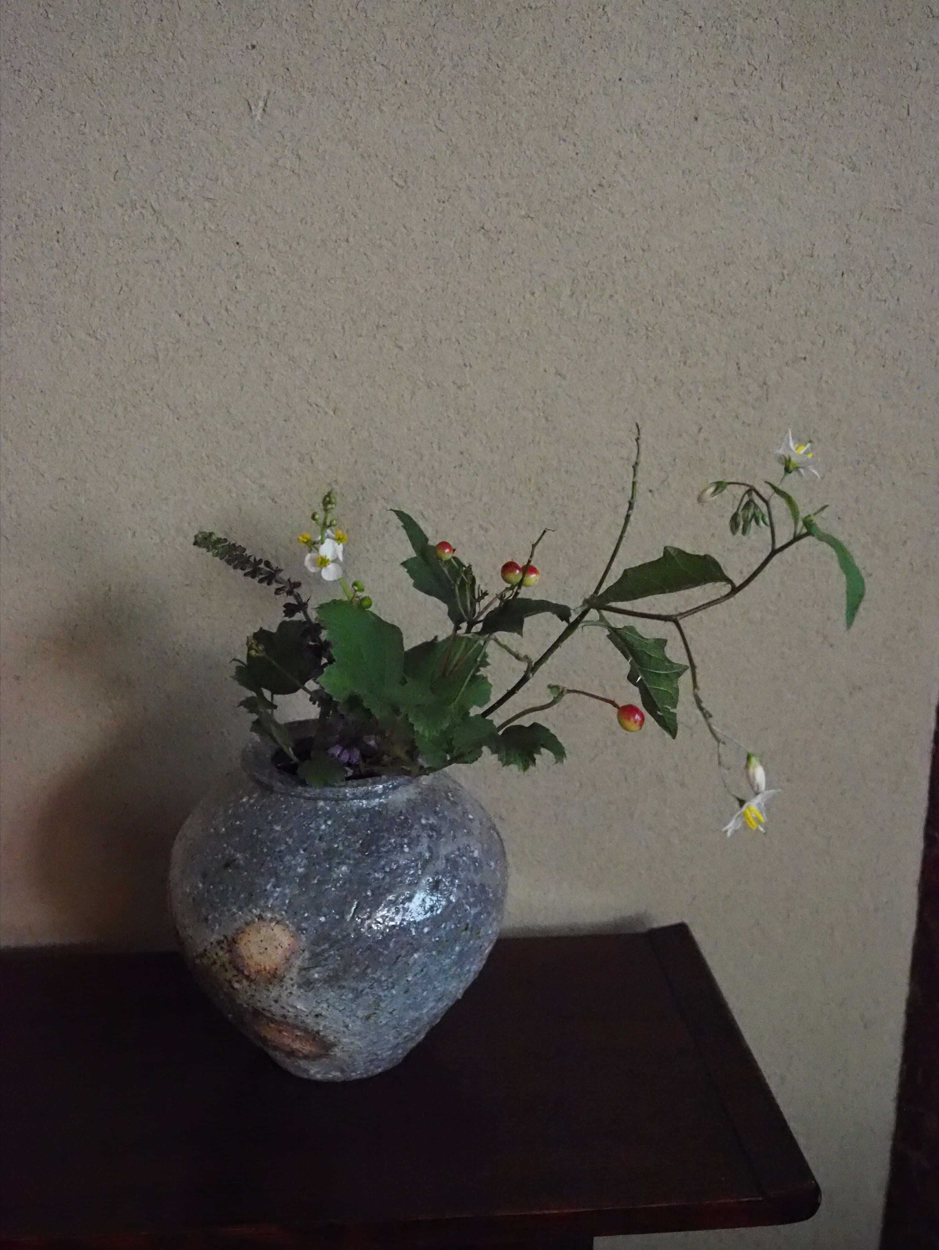 Late July Permanent Display
