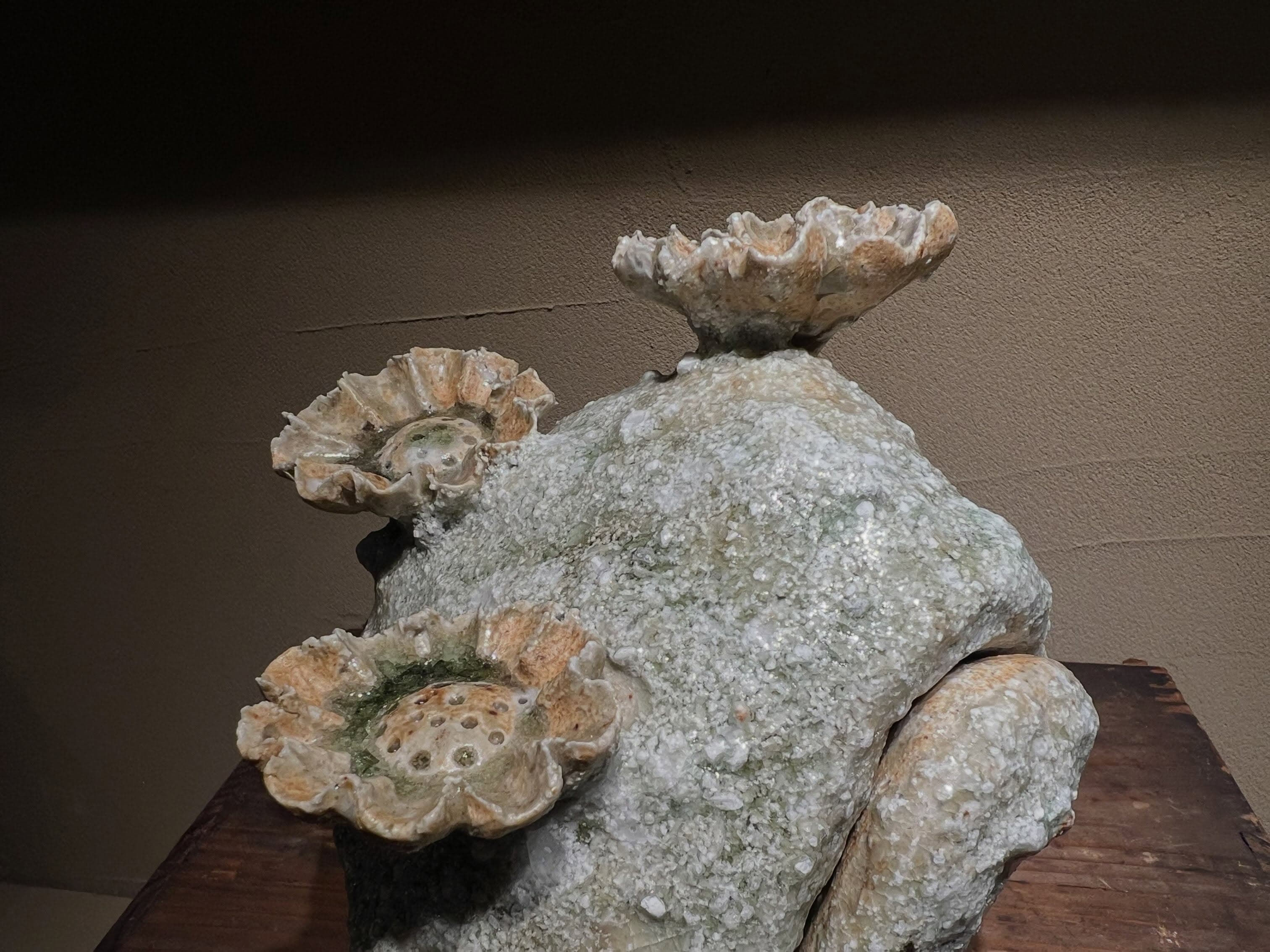 Maya Fukushima Ceramic Exhibition
