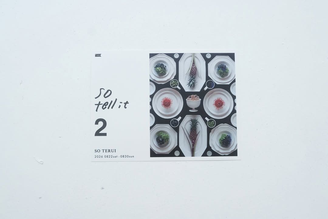 So Terui Solo Exhibition: 'so tell it vol.02'