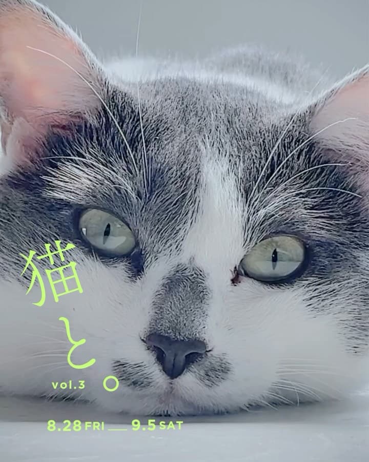 Cats and. vol.3