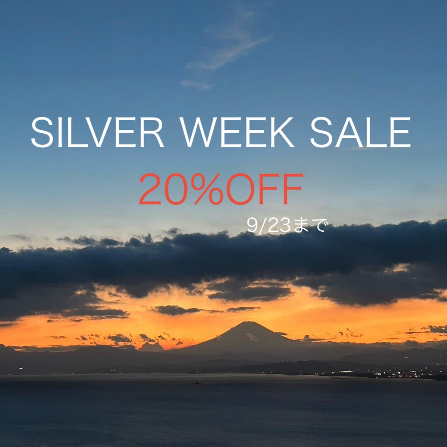 Silver Week Sale — Up to 20% Off All Items