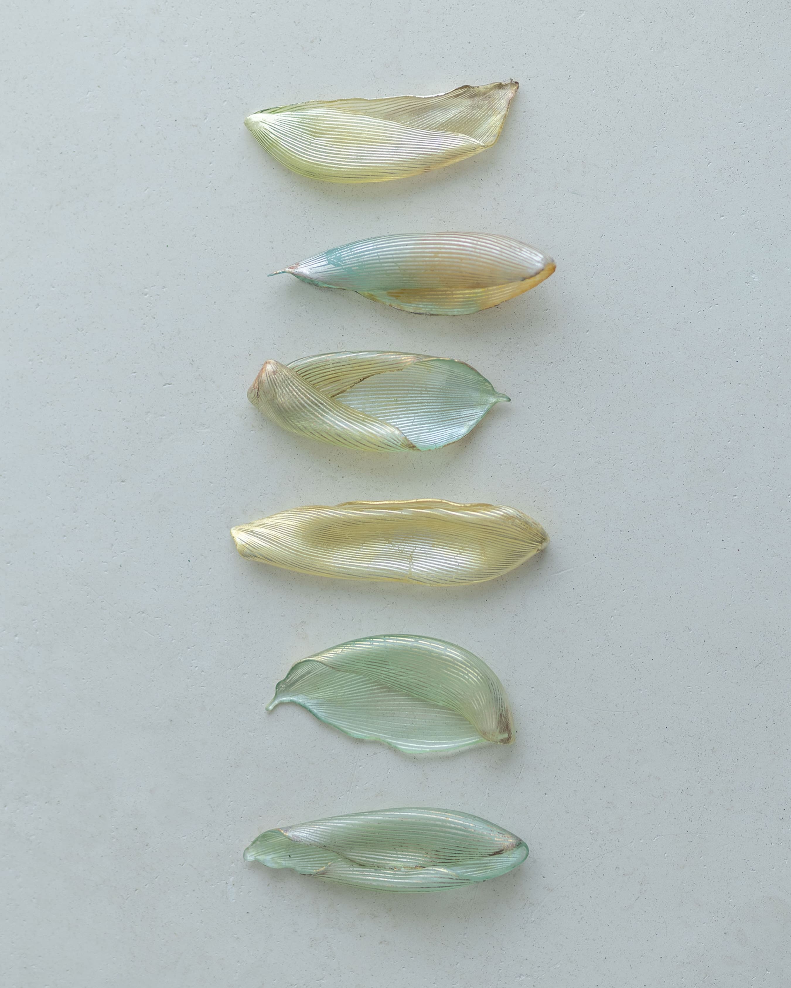 Keisyagumi "Stone ⇄ Glass: Phenomena and Landscapes in Transit" — Post-Exhibition Open Days