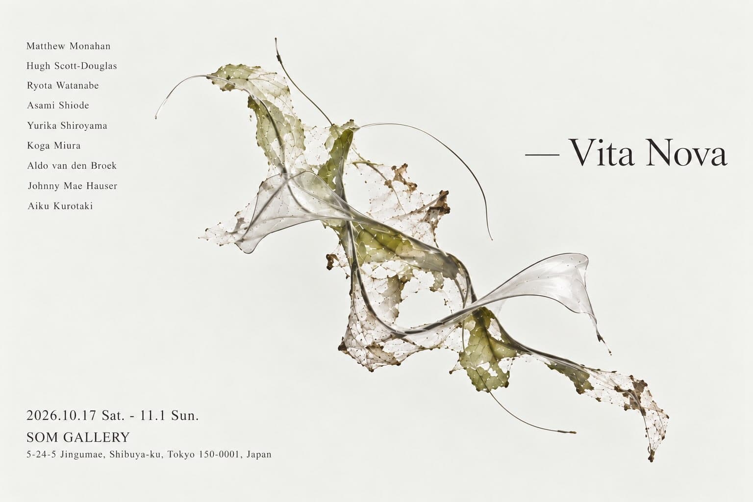 Vita Nova
