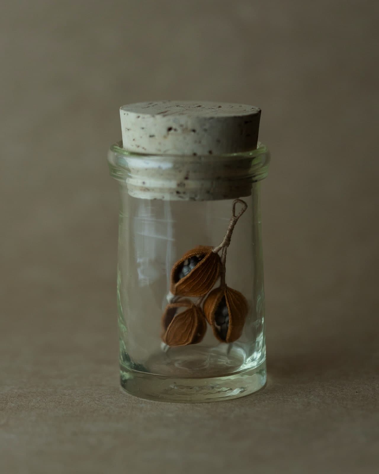"Craft Botanical Garden" in Glass and Embroidery: 石川硝子工藝舎 × CoRte