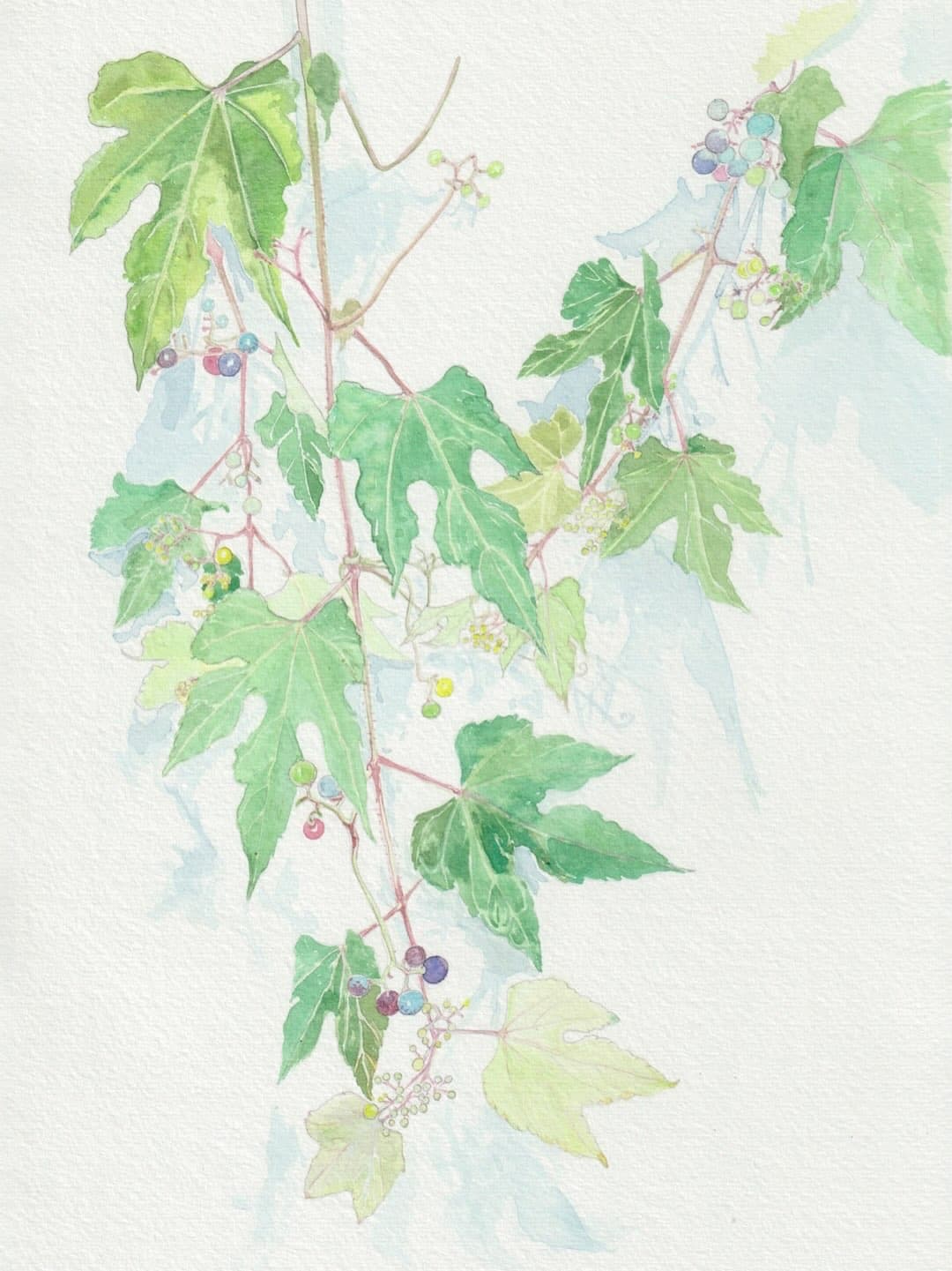 Fuyuka Hasegawa Painting Exhibition: "Calling Insects, Calling Birds"