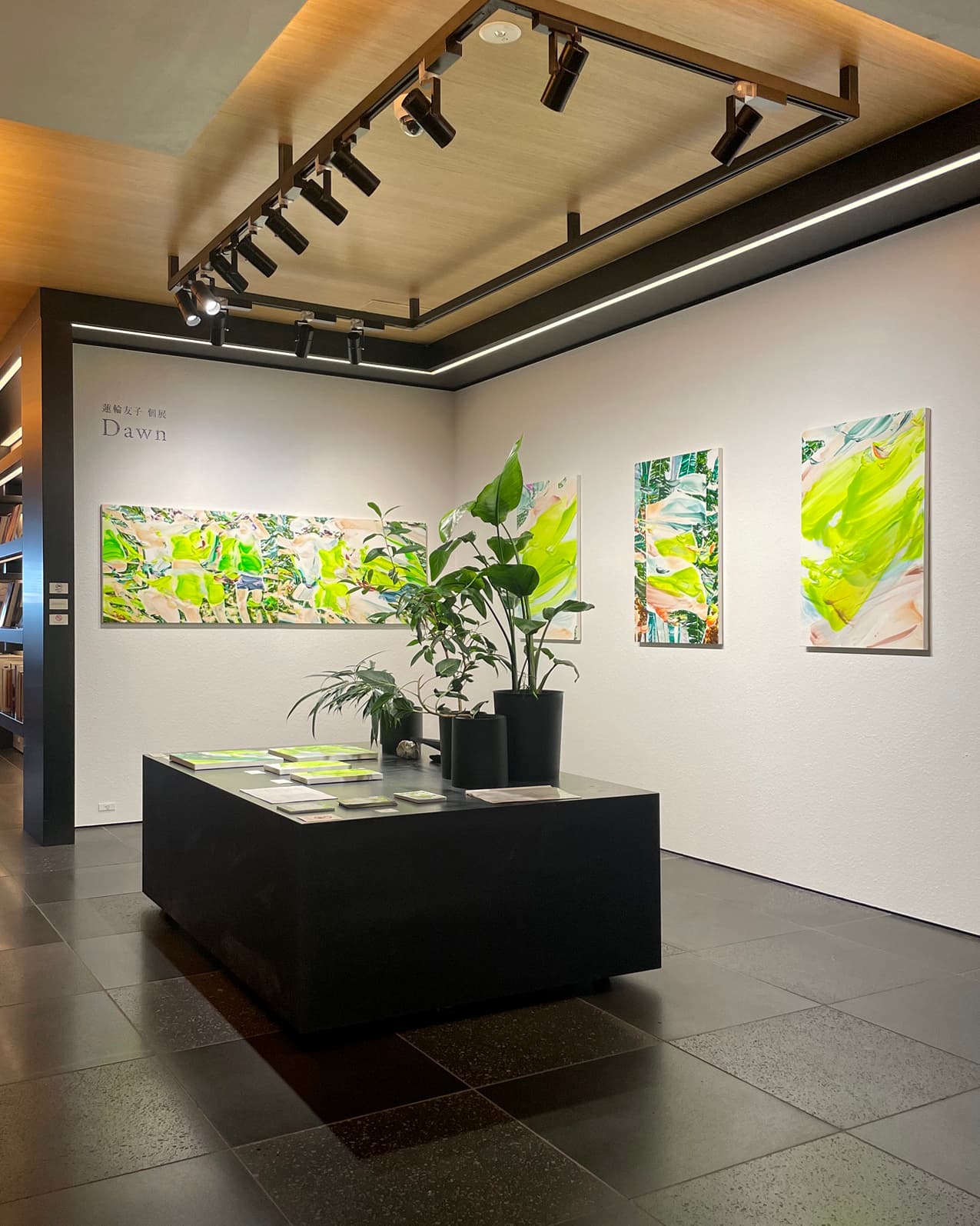 Tomoko Hasumawa Solo Exhibition: "Dawn"