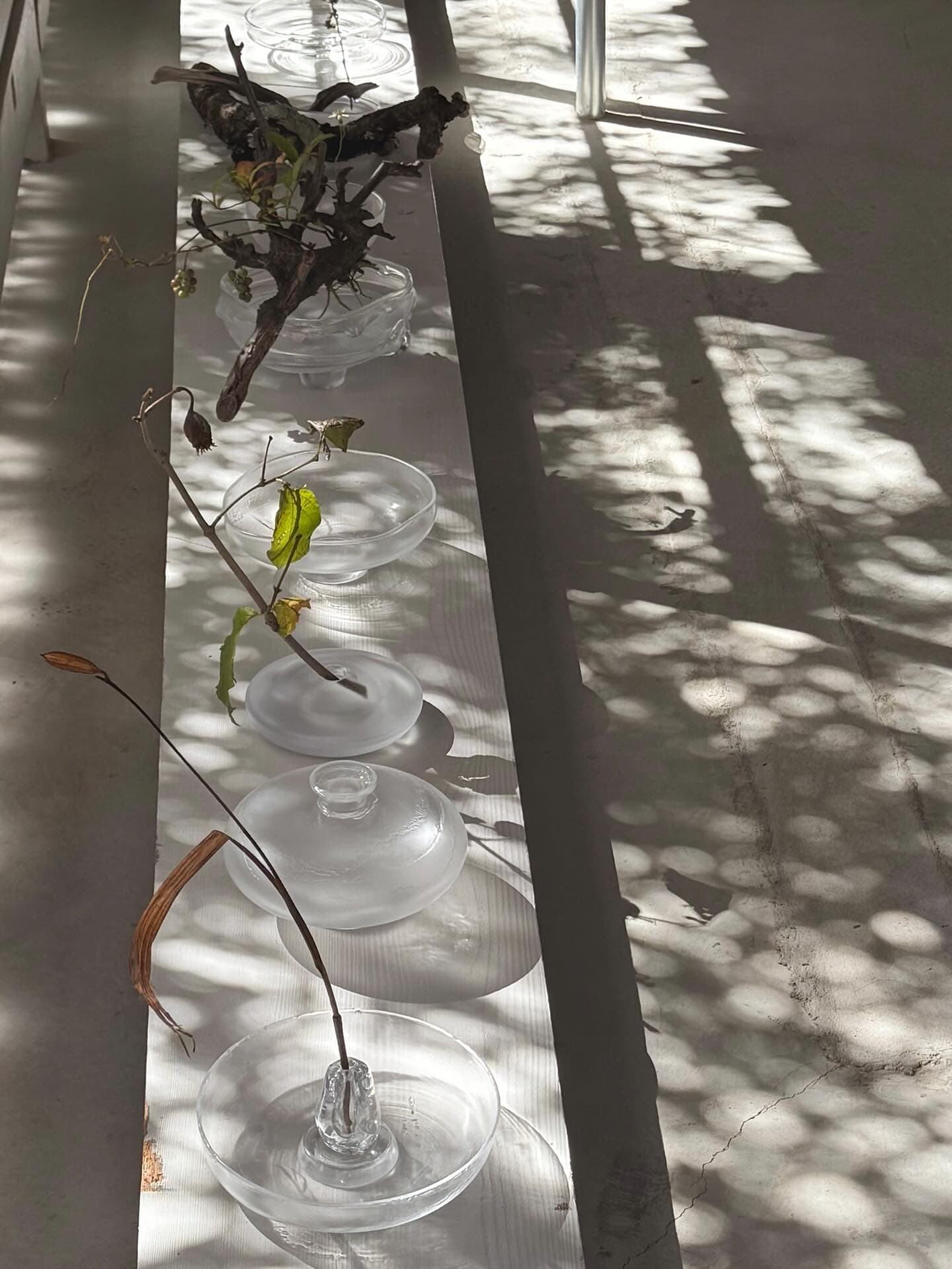 Kentaro Senuma Exhibition